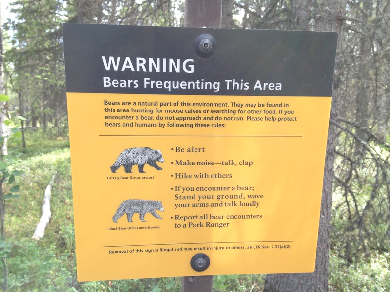 cheaper alaska hawaii bear warning sign