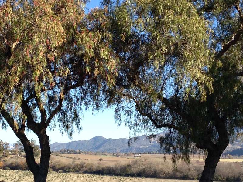 Santa Ynez Valley