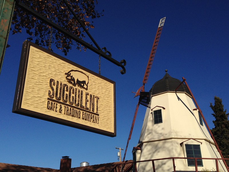 visiting solvang - succulent cafe sign with windmill